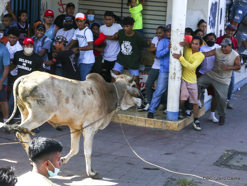 TOROS